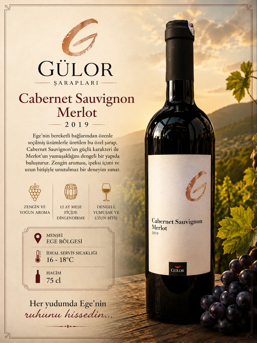 GÜLOR CABERNET SAUVİGNON MERLOT GÜLOR ŞARAPLARI — Anatolya Experience