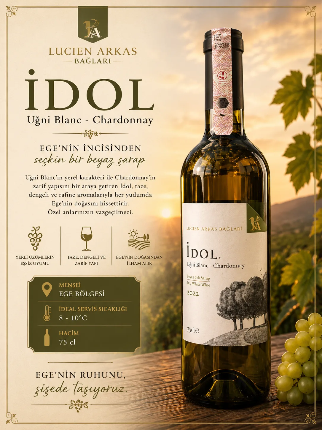 İDOL UĞNİ BLANC-CHARDONNAY LUCIEN ARKAS — Anatolya Experience